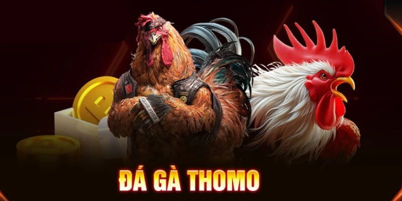 Đá Gà Thomo 23WIN – Hướng Dẫn Chi Tiết & Bí Quyết Thắng Cao