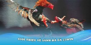 Đá Gà Trực Tiếp 23win – Sân Chơi Hấp Dẫn Và Kịch Tính